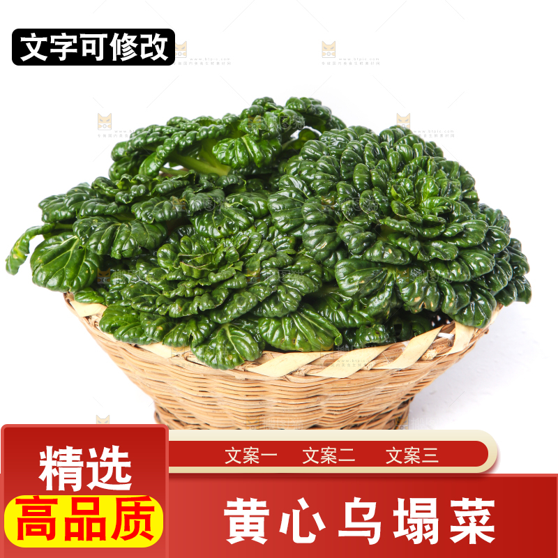 篮子里装着乌塌菜