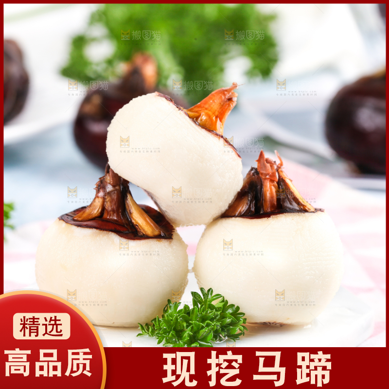 彩底上放着红马蹄
