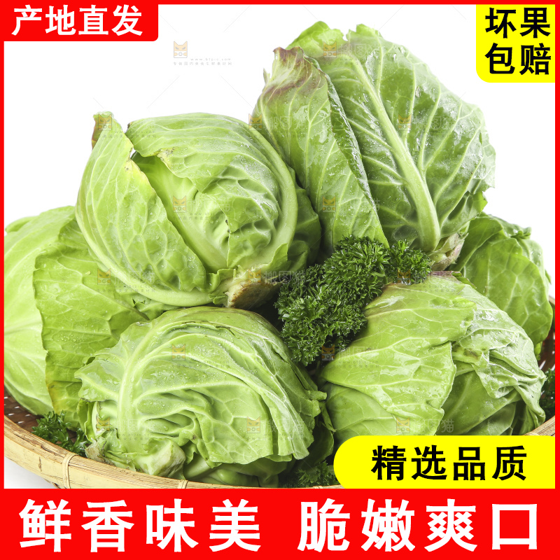 篮子里装着洋白菜