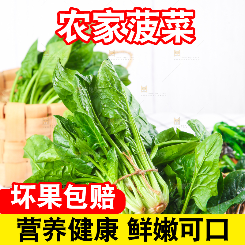 白格子底上的嫩菠菜