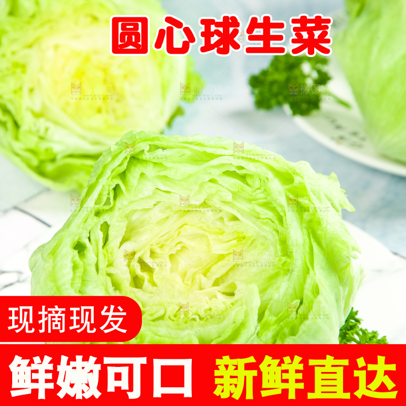 盘子里装着球生菜