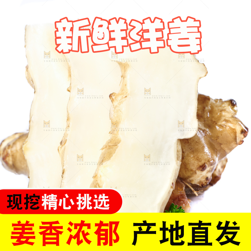 白底上的陕北高原洋姜