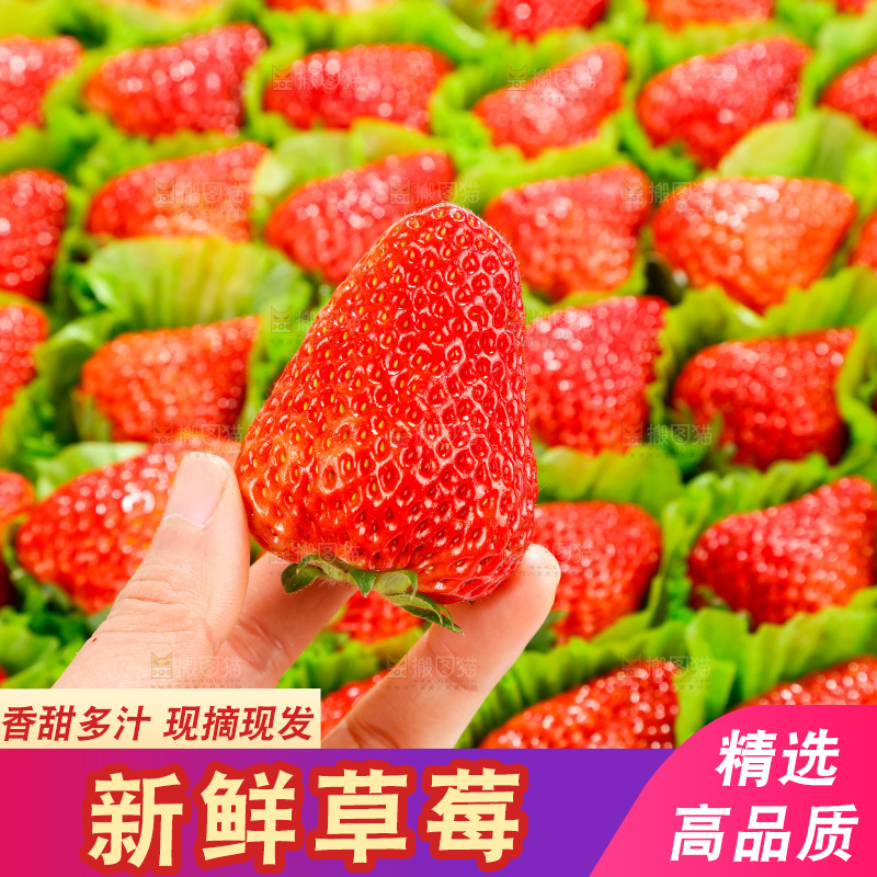 箱子里装着牛奶草莓