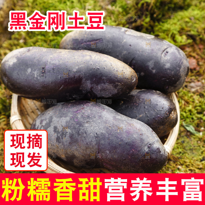 篮子里装青海黑土豆