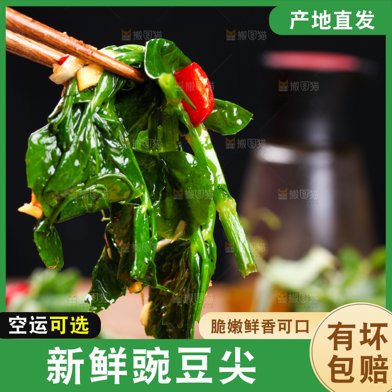 筷子上夹着炒豌豆苗