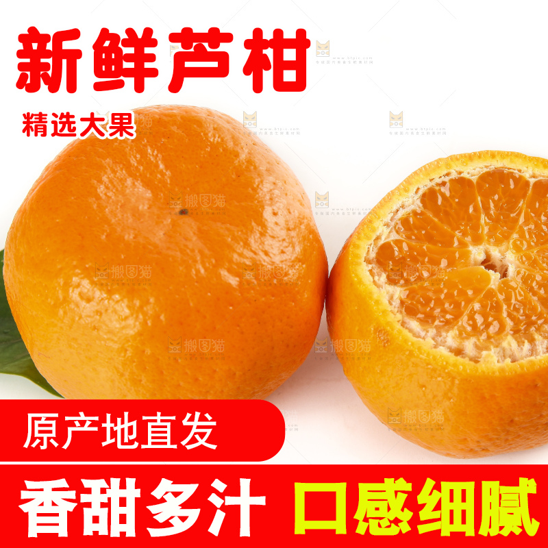 白底上的椪柑橘