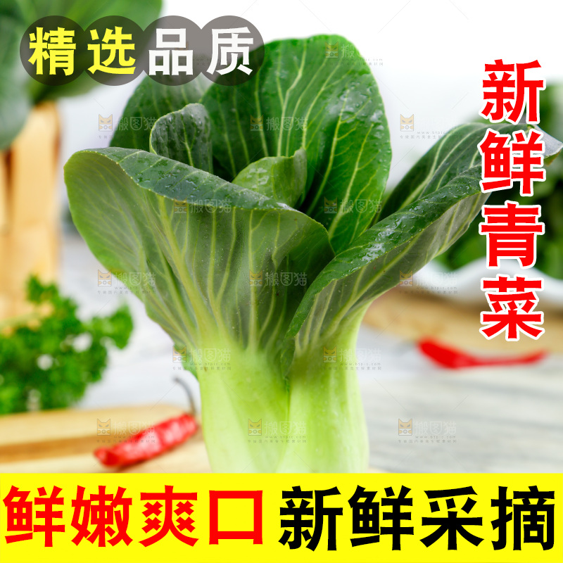 木板上摆放着农家青菜