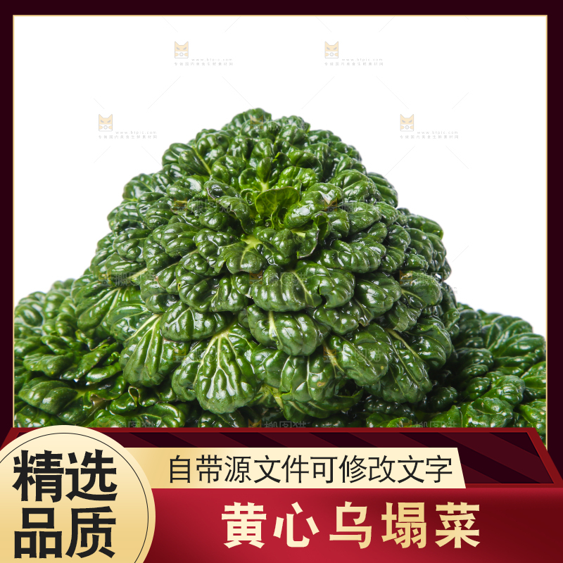 白底上的菊花菜