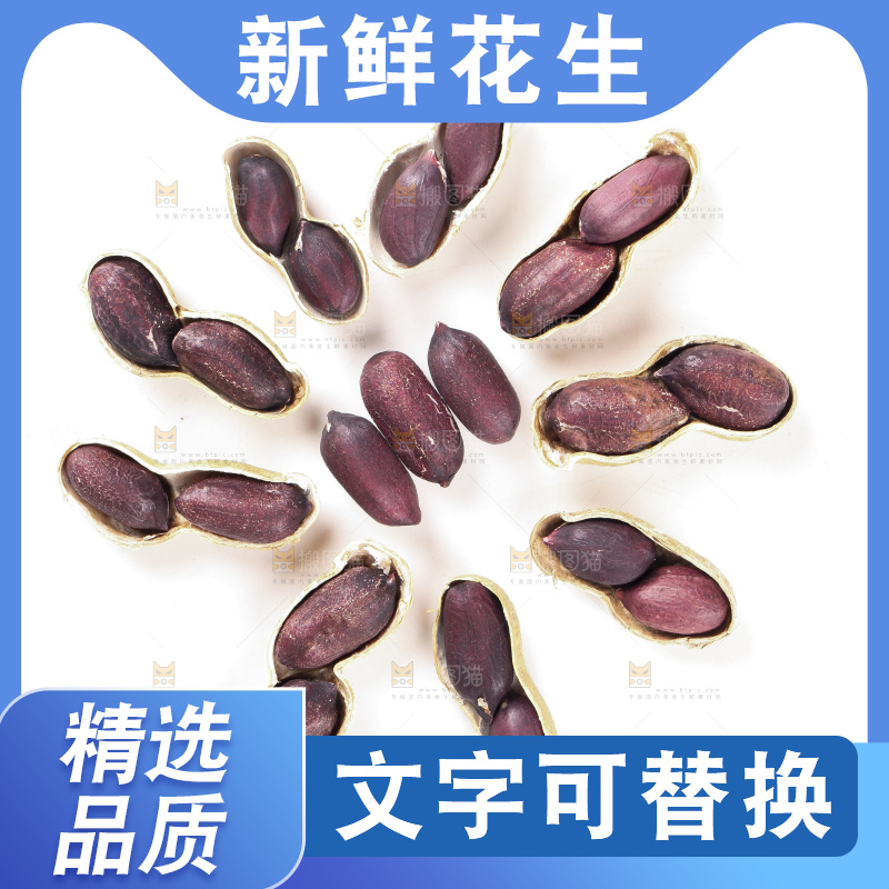 白底上的黑皮花生
