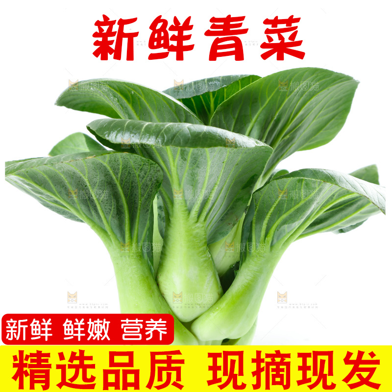 白底上放着上海青