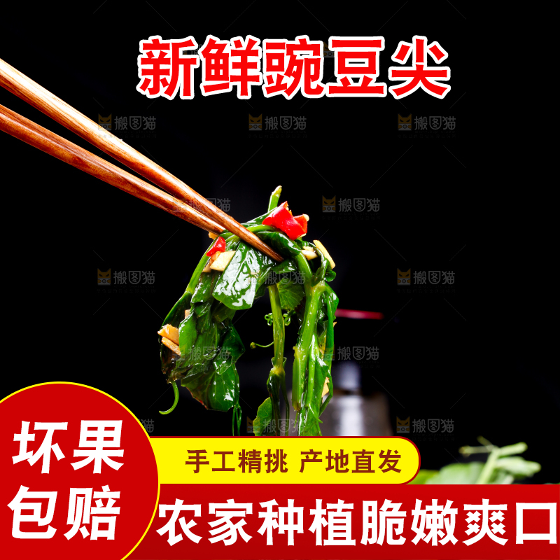 筷子上夹着炒豌豆苗