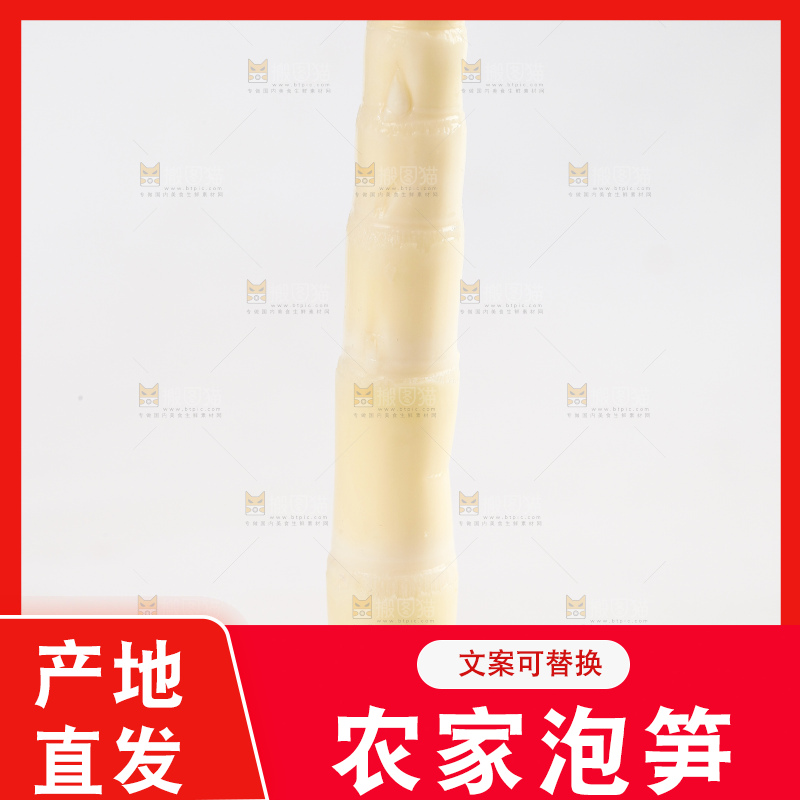 白底上放着白竹笋