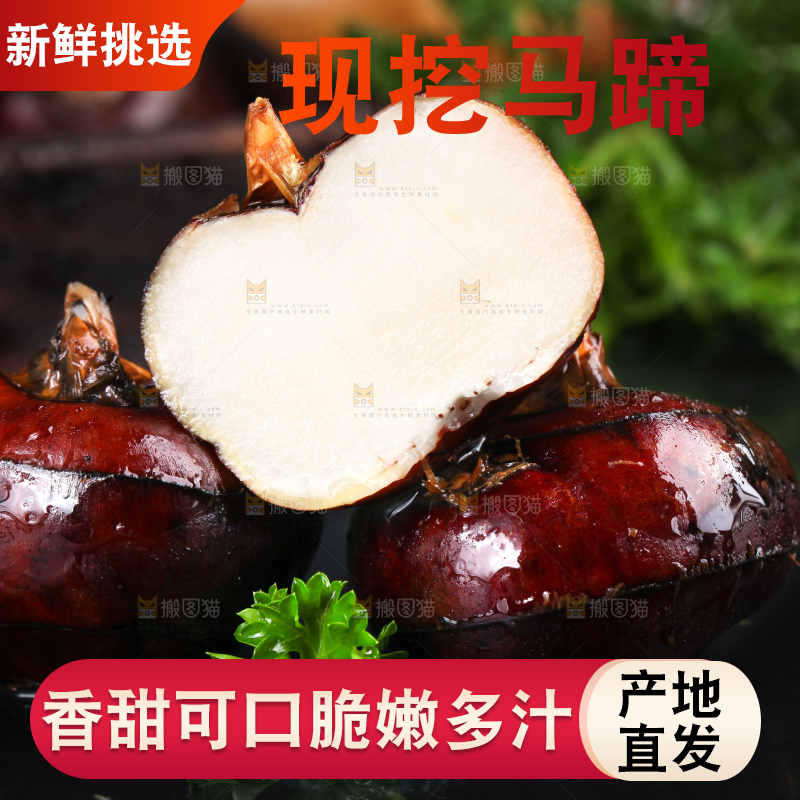 黑石板上的荸荠