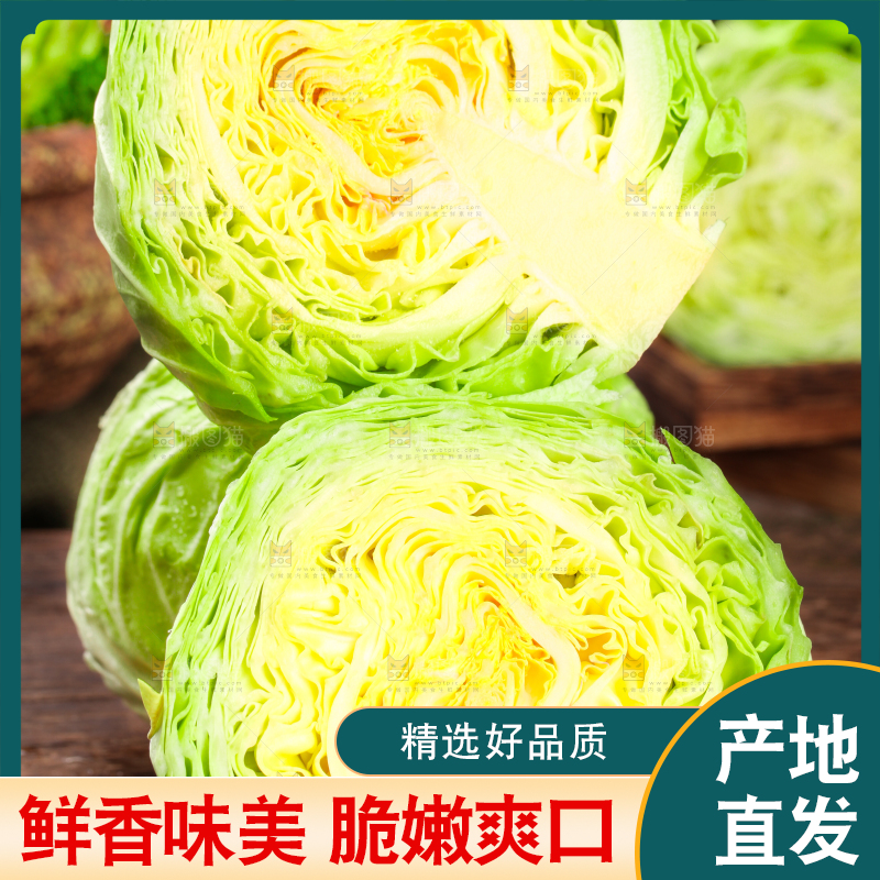 黑底上放着绿甘蓝