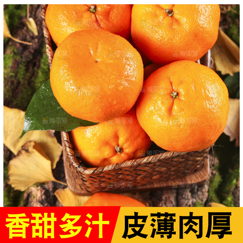 篮子里装着新鲜芦柑