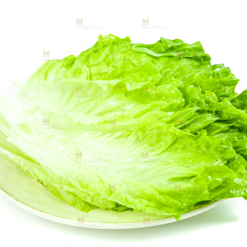 白底上的生菜