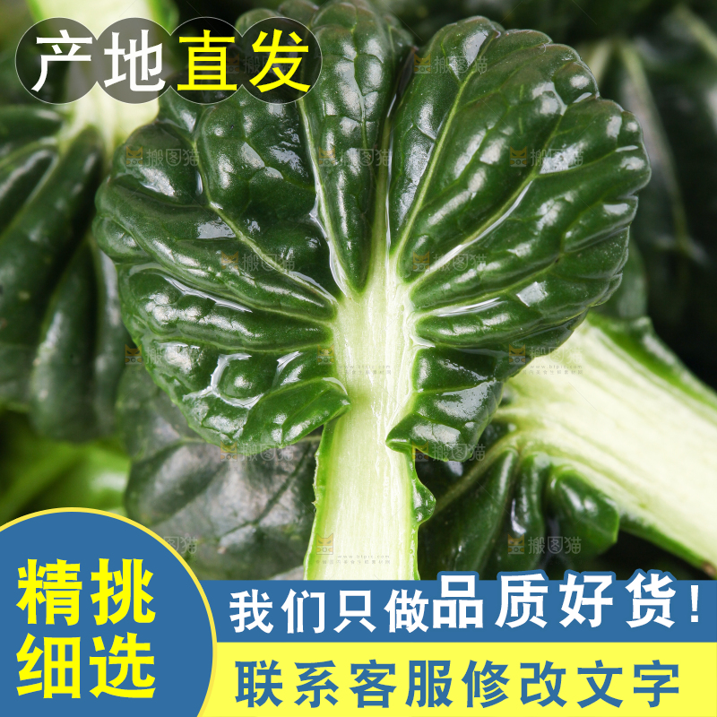 浅底上放着菊花菜