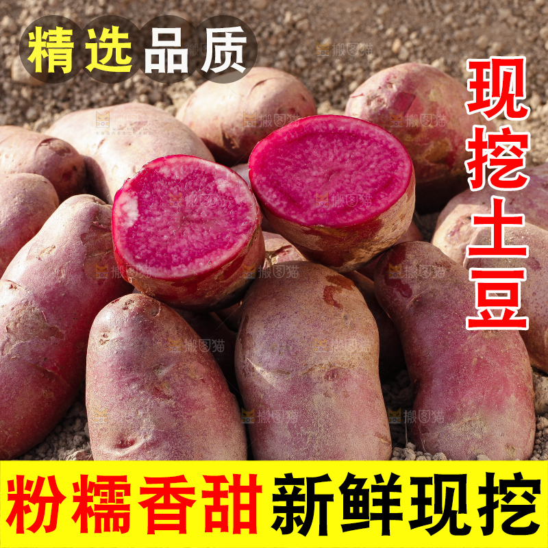 土地上放着红心土豆