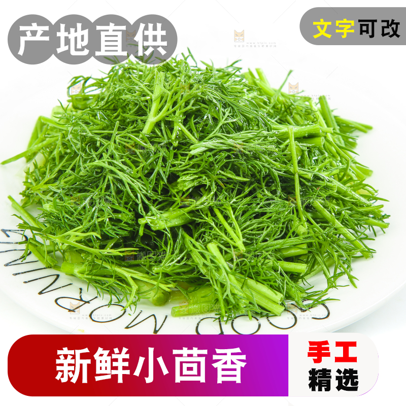 白底上放着小茴香