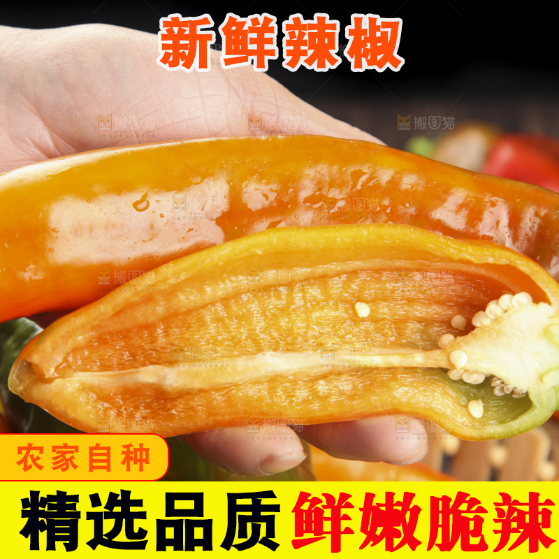手里拿着大辣椒