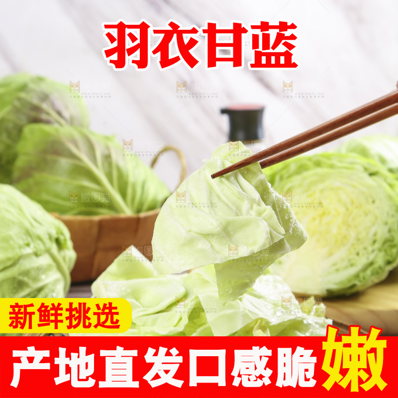 盘子里装着包心菜