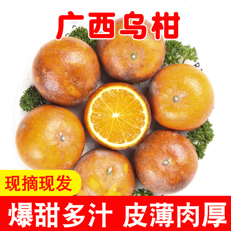 白底上放着新鲜乌柑