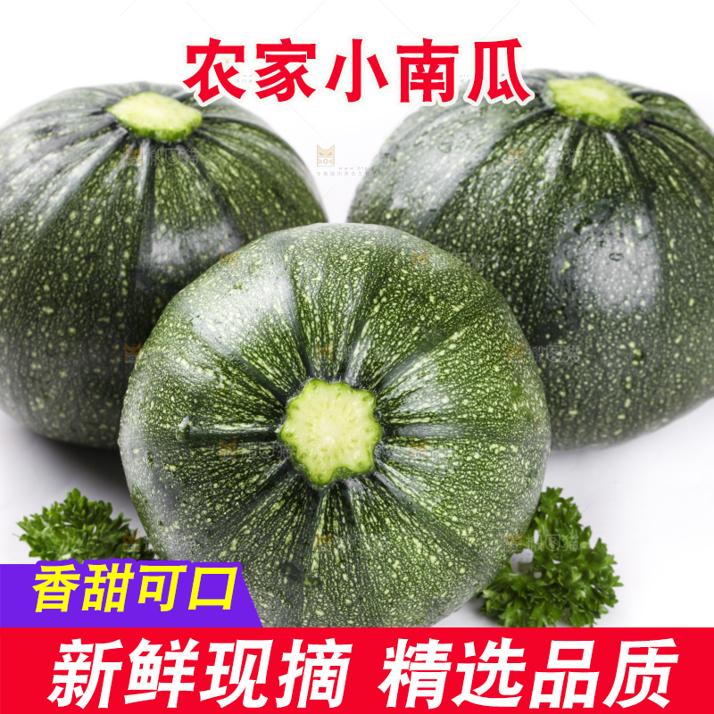 白底上摆放着花皮小南瓜