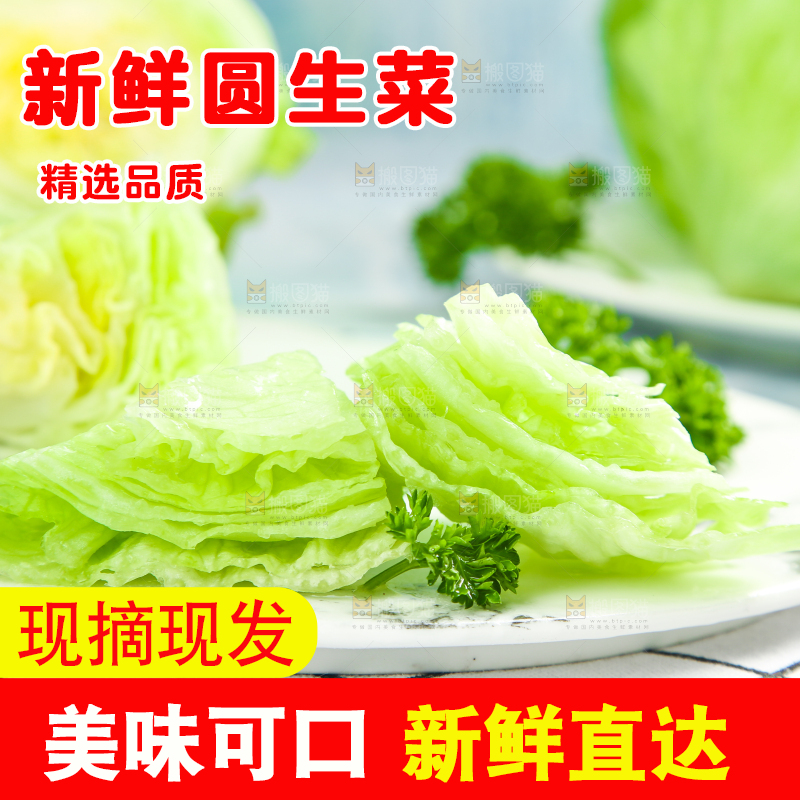 盘子里装着球生菜