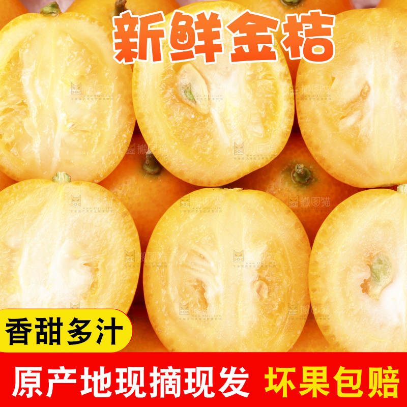 白底上的阳朔脆皮金桔