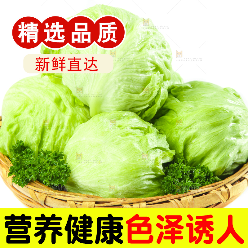 篮子里装着农家圆生菜
