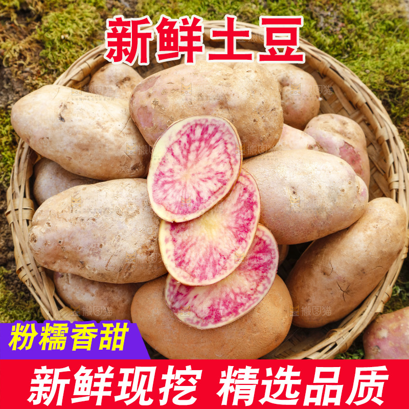 篮子里装着云南红心土豆