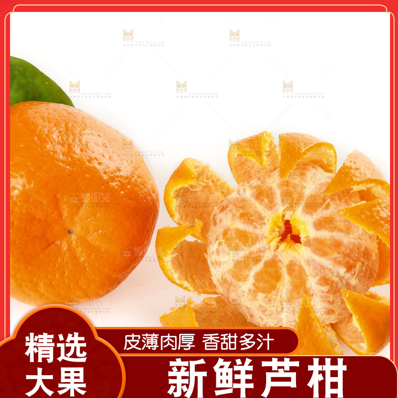 白底上的椪柑橘