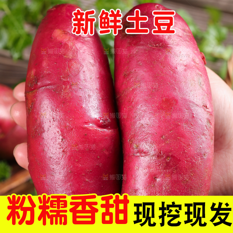 手里拿着云南红土豆