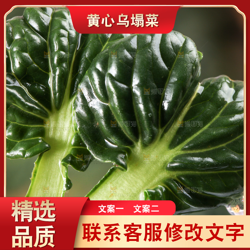 浅底上放着菊花菜