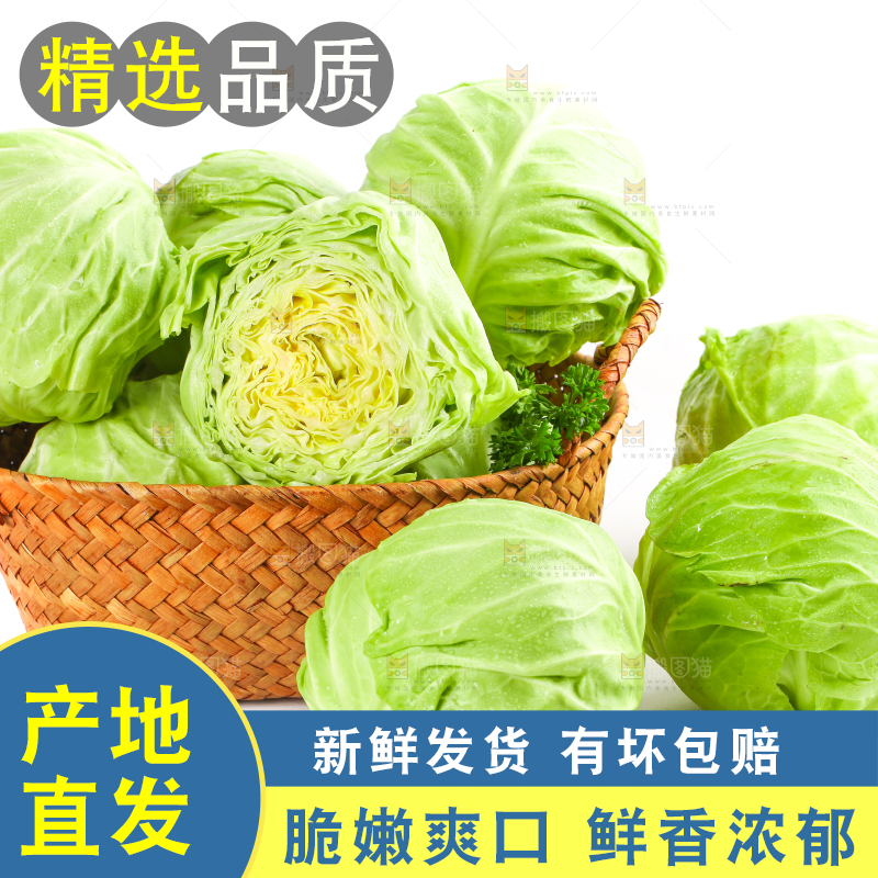 篮子里装绿甘蓝