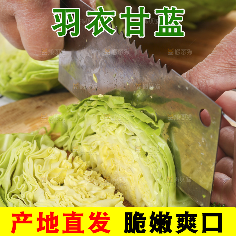 木板上放着绿甘蓝
