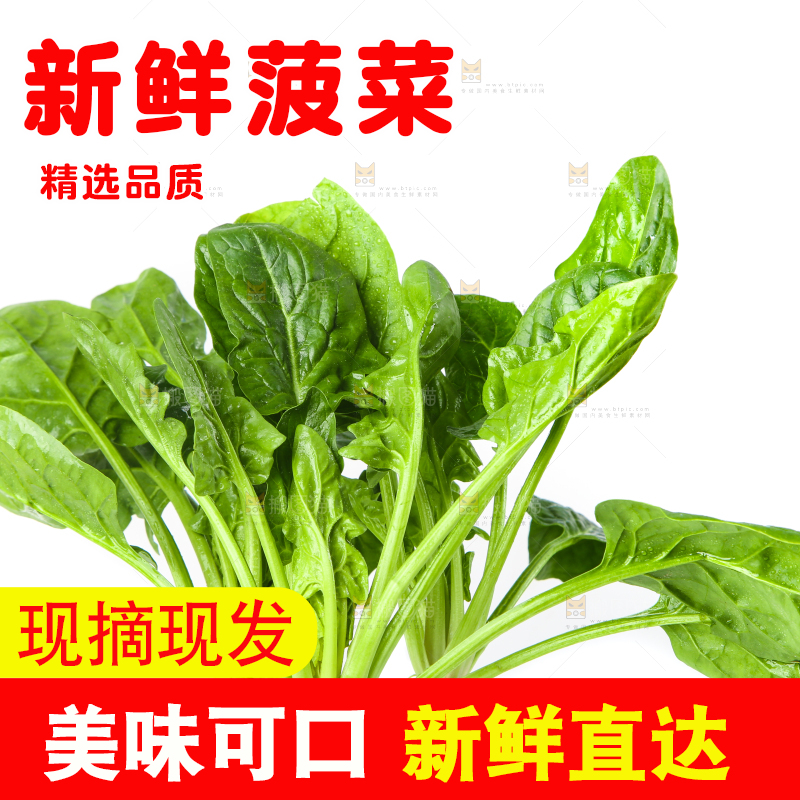 白底上放着菠菜