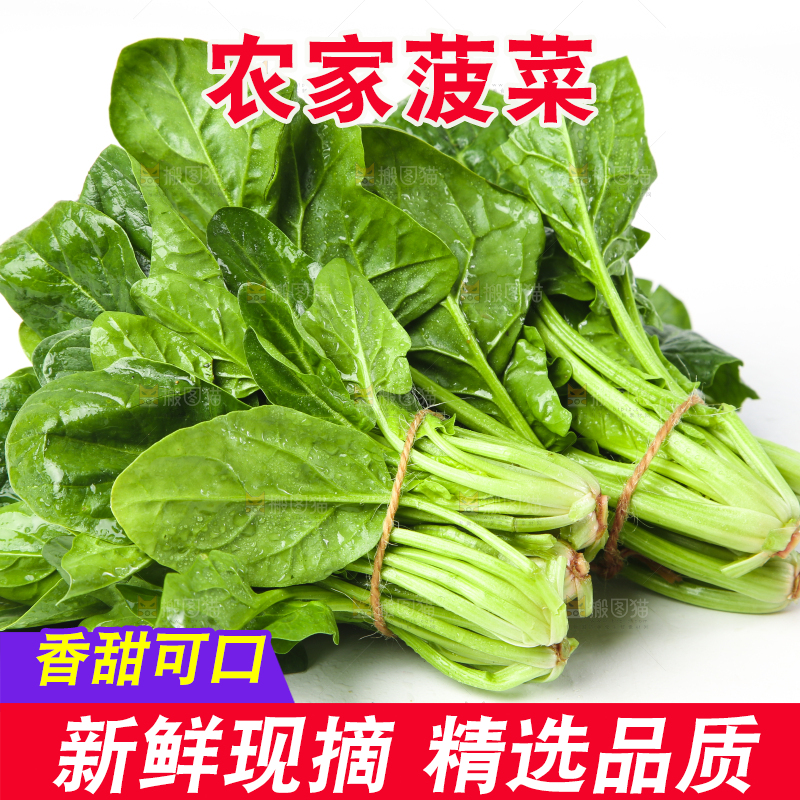 白底上放着菠菜