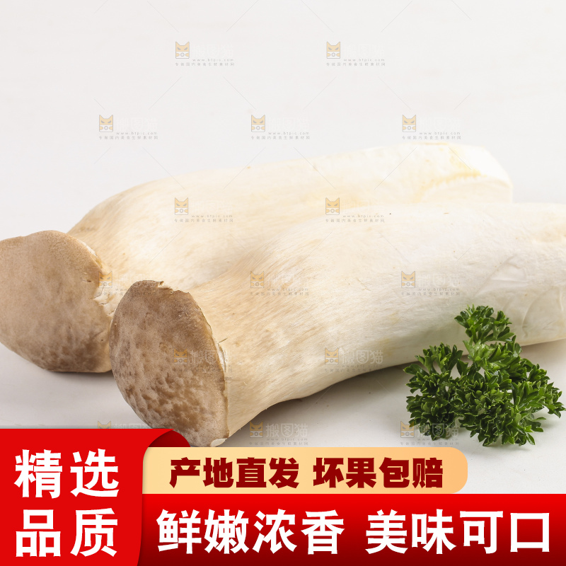 白底上放着新鲜杏鲍菇