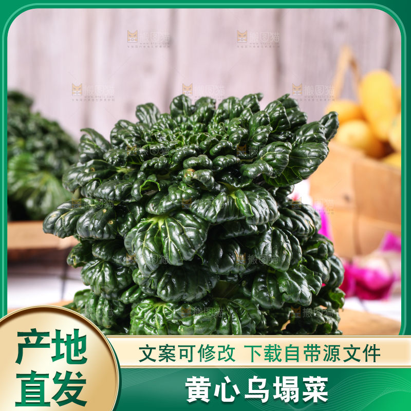 浅底上放着菊花菜