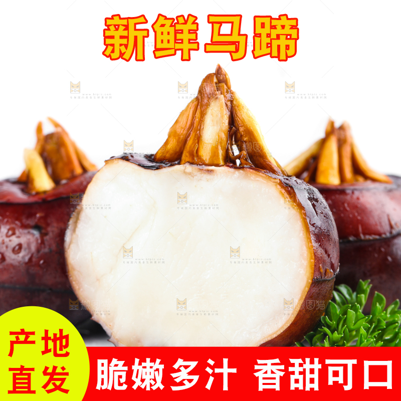 白底上摆放着乐昌北乡马蹄