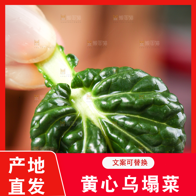 手里拿着青菜