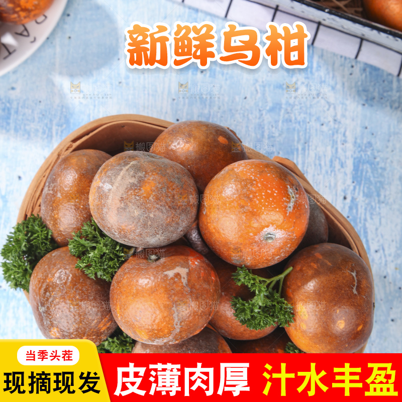 篮子里装着广西乌柑