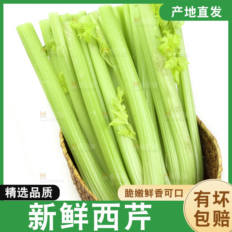 白底上的山东西芹
