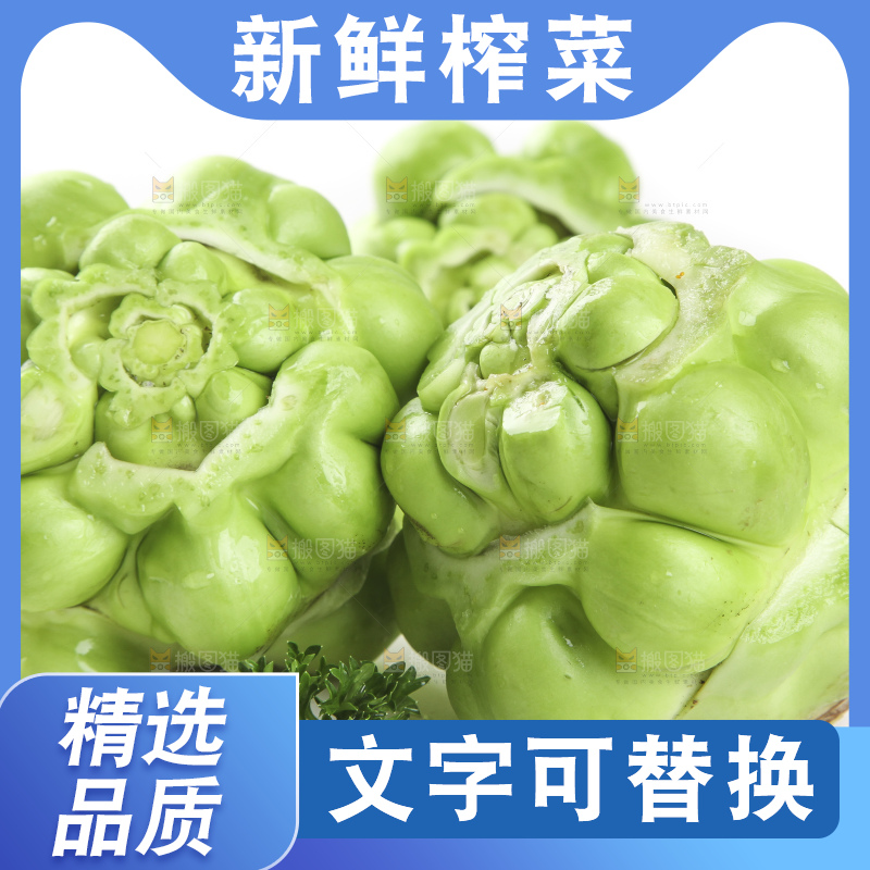白底上放着芥菜头