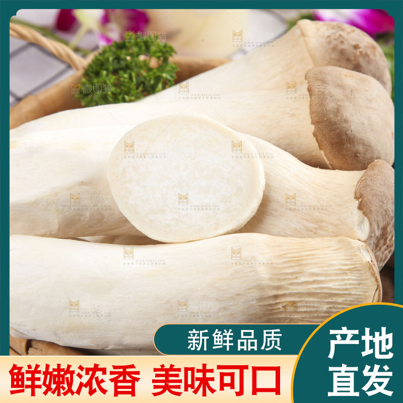 篮子里放着大鸡腿菇