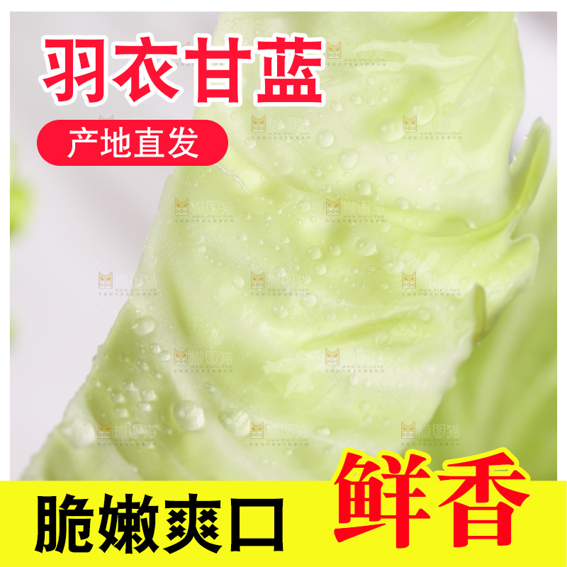 手里拿着洋白菜