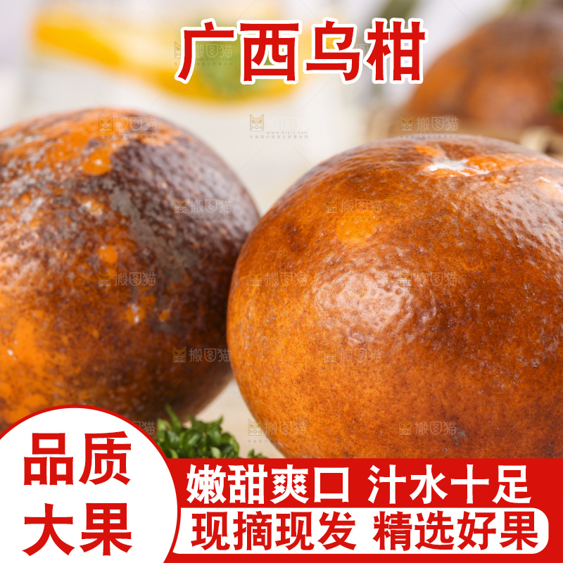 板子上摆放着广西乌柑