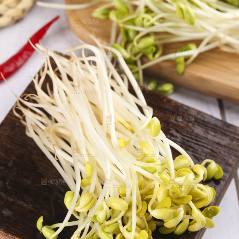 盘子里的豆芽