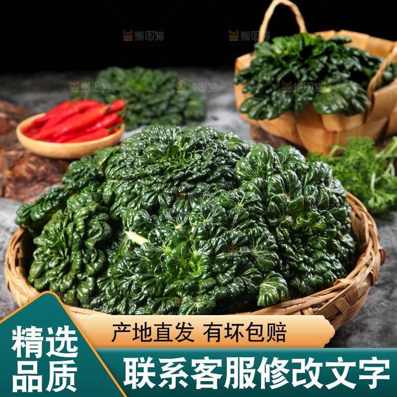 篮子里装着乌塌菜